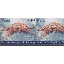 O) 2002 PERU, PARACAS NATURE RESERVE,PYCNOGONIDA- SEA ​​SPIDER, IMPERFORATE MNH