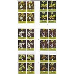 O) 2013 CARIBE,ORCHIDS, FLOWERS, ERROR IMPERFORATED, MNH