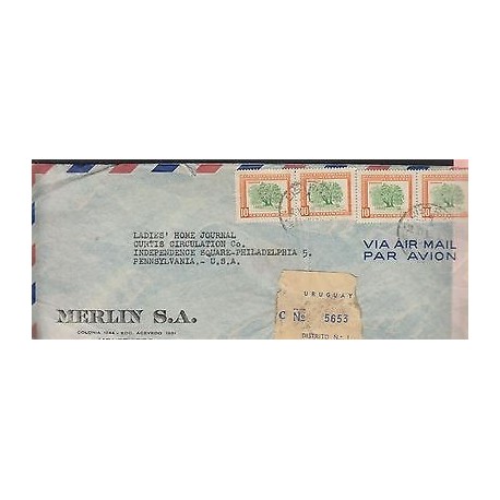 O) 1954 URUGUAY, TREE OMBU - PHYTOLACA DIOICA, COVER TO UNITED STATES, XF