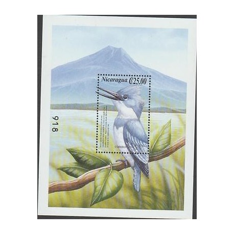 O) 1999 NICARAGUA, NORTHERN BIRD - NORTHERN, MEGACERYLE ALCYON, SOUVENIR MNH