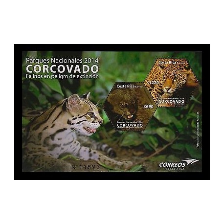 E)2014 COSTA RICA, CORCOVADO, NATURAL PARK, ANIMALS, ENDANGERED FELINES