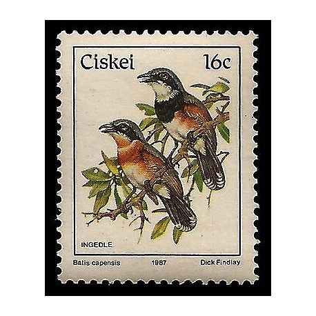 E)1987 CISKEI, BIRDS, INGEDLE , BATIS CAPENSIS, MNH 