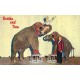G)1962 USA, ELEPHANTS, BERTHA AND TINA, THE NUGGETS OWN TALENTED PACHYDERMS, POS