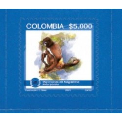 O)2015 COLOMBIA, MARIMONDA MAGDALENA- MONKEY, ENDEMIC BIODIVERSITY ENDANGERED, S