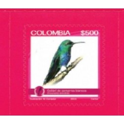 RO)2015 COLOMBIA, BIRD-ENDEMIC BIODIVERSITY ENDANGERED, COLIBRI DE ZAMAR
