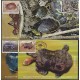 E) 2011, NEPAL, MAXIMUM CARDS SET OF 4 QUELONIES, TURTLES