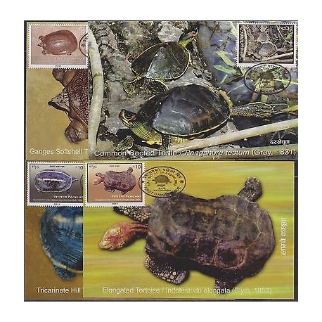 E) 2011, NEPAL, MAXIMUM CARDS SET OF 4 QUELONIES, TURTLES