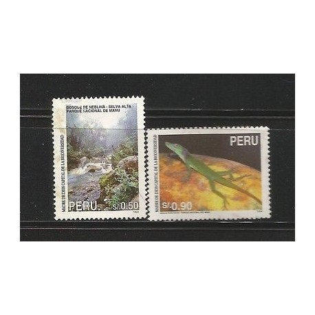 E)1995 PERU, BIODIVERSITY, FOREST, ANIMAL, MANU NATIONAL PARK, ANOLIS PUNTATUS