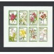 O) 1979 GUINEA, FLOWERS, IMPERFORATED, MNH