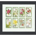 O) 1979 GUINEA, FLOWERS, IMPERFORATED, MNH