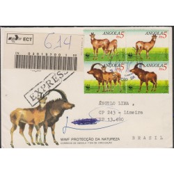 B)1990 ANGOLA,ANIMALS, HIPPOTRAGUS NIGER VARIANI, ADULT MALE AND FEMALE, , EXPRESS, CIRCULATED COVER FROM ANGOLA XF