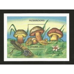 J)1989 GHANA, MUSHROOMS BOLETUS SPECIES SOUVENIR SHEET MNH 