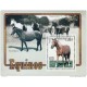 RG)2005 SPANISH ANTILLES, HORSES, ARABIAN MARES- SHETLAND PONY-HOLSTEIN, S/S, MNH