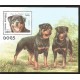 V) 1997 SOMALIA, DOGS, DOG ROTTWEILER, SOUVENIR SHEET, MNH 