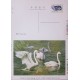 O) 2011 KOREA, PROOF. BIRDS - SPECTACLED OWL -PULSATRIX PERSPICILLATA, WHOOPER SWAN - CYGNUS  CYGNUS, POSTAL STATIONERY, XF