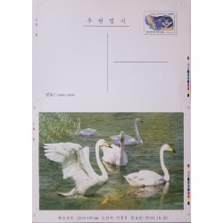 O) 2011 KOREA, PROOF. BIRDS - SPECTACLED OWL -PULSATRIX PERSPICILLATA, WHOOPER SWAN - CYGNUS  CYGNUS, POSTAL STATIONERY, XF