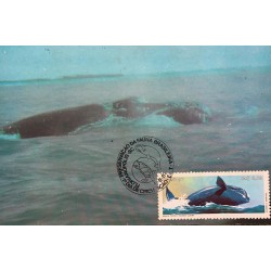 A) 1987, BRAZIL, WHALE, PRESERVATION OF BRAZILIAN FAUNA, FLORIANOPOLIS SC, 1 DAY OF CIRCULATION, ECT, 2.00