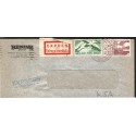 J) 1917 CHILE, MULTIPLE STAMPS, CIRCULATED COVER, FROM CHILE TO BUENOS AIRES, VIA LOS ANDES