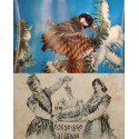 J) 1940 CIRCA-SPAIN, POSTCARD, BIRDS, PAINTING, LANDSCAPE, CIRCULATED COVER, XF