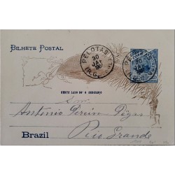 A) 1904, BRAZIL, POSTAL STATIONARY, FROM PELOTAS TO RIO GRANDE, SUGAR BREAD STAMP