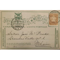 J) 1896 MEXICO, LETTER ON CARRIER, EAGLE, UNIVERSAL POSTAL UNION, CIRCULATED COVER