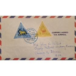 L) 1963 COSTA RICA, JAGUAR, ANIMALS, TRIANGLE, DEER, AIRMAIL, CIRCULATED COVER FROM COSTA RICA TO USA