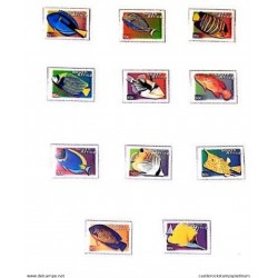 A) 2000, SOUTH AFRICA, COLLECTION FISH BLUE SURGEON FISH, ZEBRA NAVAJON, REAL ANGEL FISH, EMPEROR ANGEL FISH