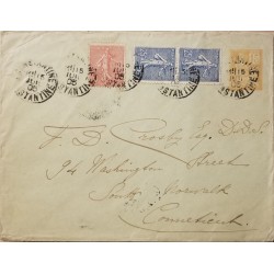 J) 1905 FRANCE, PEACE AND COMMEMORATIVE, MULTIPLE STAMPS, CIRCULATED COVER, FROM FRANCE