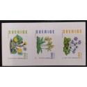 L) 2003 SWDEN, NATURE, FLOWERS, PLANT, TUSSILAGO, MNH