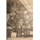 J) 1910 FRANCE, MUSEUM, GIANT ANIMALS WITHOUT TOOTH AND VIVALENTS OF FOLIAGE TAKEN FROM TREES THAT TAKE
