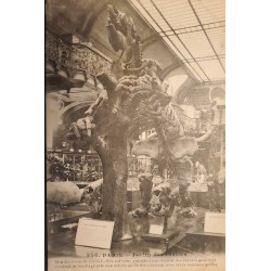 J) 1910 FRANCE, MUSEUM, GIANT ANIMALS WITHOUT TOOTH AND VIVALENTS OF FOLIAGE TAKEN FROM TREES THAT TAKE