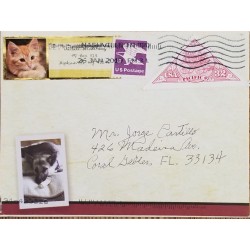 J) 1997 UNITED STATES, CAT, DOG, EAGLE, MULTIPLE STAMPS, AIRMAIL, CIRCULATED COVER, FROM USA TO MIAMI