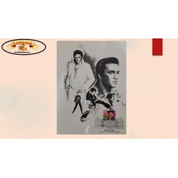 O) 1993 UNITED STATES - USA, ELVIS PRESLEY, ROCK MUSICIAN AND COMPOSER, AMERICAN MUSIC, MUSICAL INSTRUMENT, MAXIMUM  CARD, XF