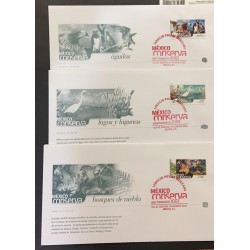 SO) 2002 MEXICO, FOG FORESTS, LAKES AND LAGOONS, AGUILAS, MEXICO CONSERVA, SERIES OF 3 FDC