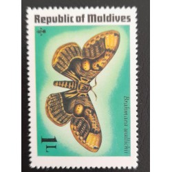 SO) MALDIVES, BUTTERFLY, MNH