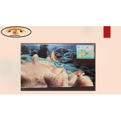 SB) 1994 UNITED STATES - USA,  WONDER OF THE SEA, DIVER, MOTORBOAT, FISHES, MARINE LIFE, FDC XF