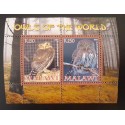 SD)2008, MALAWI, OWLS OF THE WORLD, BRAZILIAN GLAUCIDIUM, GLAUCIDIUM CALIFORNICUM, SOUVENIR BLADE, MNH