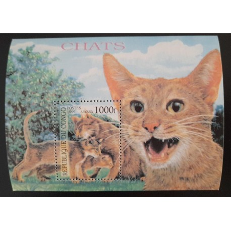 SD)1999, REPUBLIC OF CONGO, CATS, ABYSSINIAN, ANIMALS NATURE, SOUVENIR LEAFLET, MNH