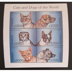 SD)68 GHANA, CATS AND DOGS OF THE WORLD, ABYSSINIAN, SCOTTISH FOLD, EASTERN, BORDER TERRIER, BOSTON TERRIER, KEES