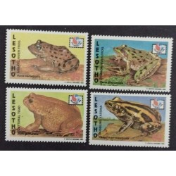 BD) LESOTHO, WILDLIFE, FROGS, MNH