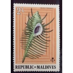 BD) 1975, MALDIVES, SEA CONCH (MUREX TRIREMUS), MNH