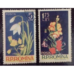 BD) 1956, ROMANIA, FLOWERS (PRIMULA VERIS), (CAMPANULA), MNH