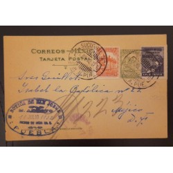 SD)1932, MEXICO, POSTCARD, WATER FALL CHILD PROTECTION, PUEBLA BRANCH A, CIRCULATED