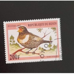 SD)1997, BENIN, BIRDS, HOODED BLACKBIRD, USED