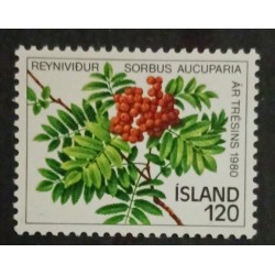SB) 1980 ICELAND, TREE - SORBUS AUCUPARIA, PLANT, MNH