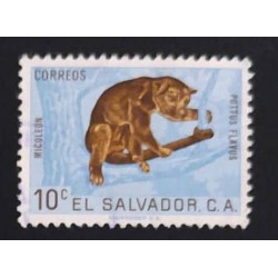SD)EL SALVADOR. WILD ANIMALS. MICO LEON. USED
