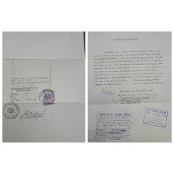 1989 BRAZIL, CERTIFIED AND STAMPED DIPLOMATIC AUTHORIZATION, CONSULATE OF PARAGUAY IN BRAZIL. CONSULAR VISA