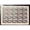 P) 2022 ARGENTINA, MERCOSUR ISSUE, BENEFICIAL INSECTS, TIGER ANT, FULL SHEET, MNH