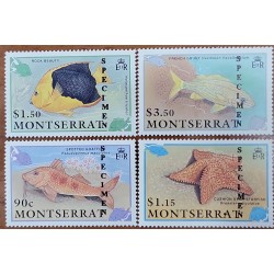 O) 1991 MONTSERRAT,  SPECIMEN, FISHES, SPOTTED GOTAFISH, CUSHION, ROCK BEUATYM FRENCH GRUNTM SCT 758 - 761,  MNH