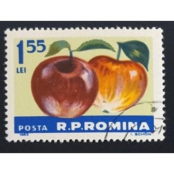 SD)1963, ROMANIA, FRUIT, MALUS SYLVESTRIS VAR DOMESTIC, USED
